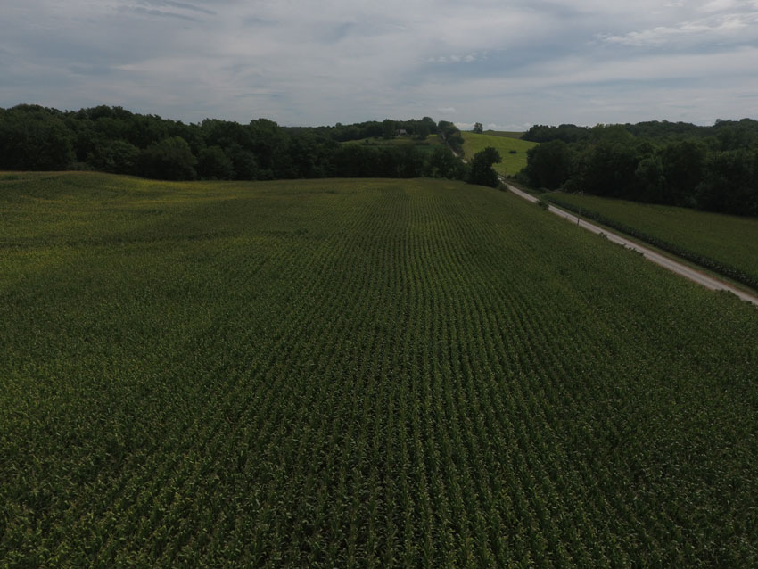 100 Acres +/ Holt County, MO Land Sales Specialists