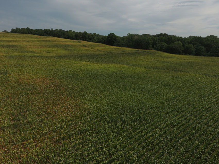 100 Acres +/ Holt County, MO Land Sales Specialists
