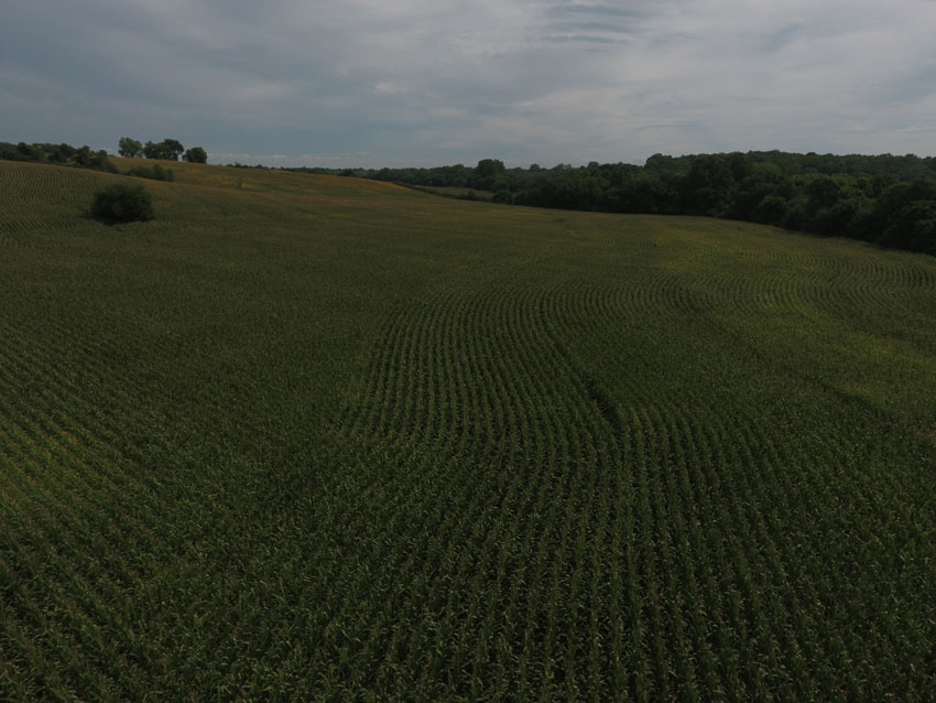 100 Acres +/ Holt County, MO Land Sales Specialists